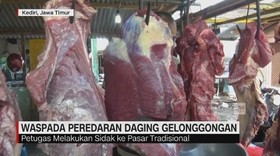 Waspada Peredaran Daging Gelonggongan