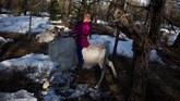 FOTO: Menjaga Identitas Dukha, Penggembala Rusa di Mongolia Para penggembala di Mongolia khawatir identitasnya terlucuti dengan larangan perburuan liar pemerintah di kawasan tempat tinggal tradisional mereka.