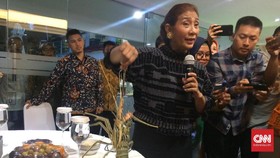 Susi Sebut Jual Lobster Ilegal Lebih Untung dari Jual Narkoba