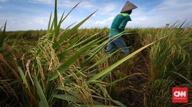 Zona Konflik Tanah Kantong Kemiskinan, KPA Sindir Cetak Sawah