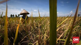 Kemendes Siapkan 1,8 Juta Ha Lahan untuk Ketahanan Pangan