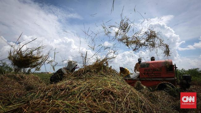 Faisal Basri Pertanyakan Proyek Lumbung Pangan Jokowi Ekonom Senior Faisal Basri mengkritik penujukkan Menteri Pertahanan Prabowo Subianto sebagai 'komandan' proyek lumbung pangan di Kalimantan Tengah.