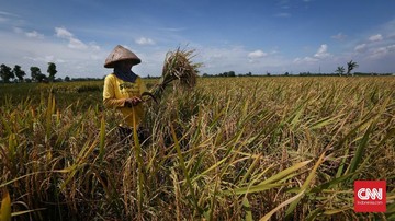 Revolusi Irigasi: Pusat Siap Kuasai Pembangunan Ribuan Hektare!