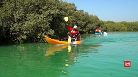 VIDEO: Membelah Hutan Mangrove di Dubai