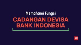 Memahami Fungsi Cadangan Devisa BI