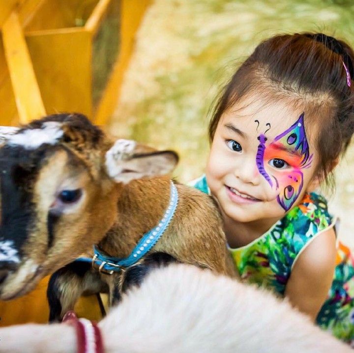 <p>Wah, happy banget Lim main sama anak kambing. Hi-hi-hi. (Foto: Instagram/lim_nikole)  </p>