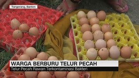 Warga Berburu Telur Pecah