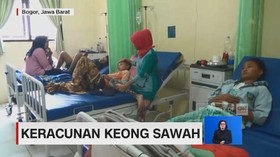 Puluhan Warga Keracunan Keong Sawah