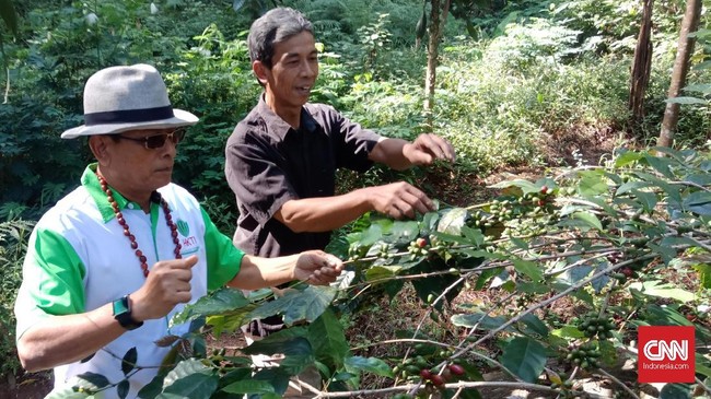 Dalam kunjungan KSP Moeldoko, Ketua Kelompok Tani Kopi Puntang mengeluhkan soal bantuan pupuk yang tak diterima pihaknya.