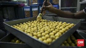 Waktu Paling Tepat Mengoles Kuning Telur ke Kue Kering