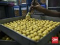 Waktu Paling Tepat Mengoles Kuning Telur ke Kue Kering