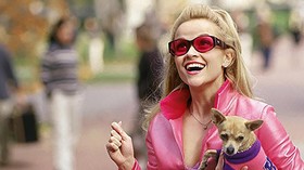 Pemeran Elle Woods Muda untuk Prekuel Legally Blonde Resmi Diumumkan