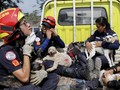 FOTO: Saat Hewan Jadi Korban Erupsi Gunung Fuego