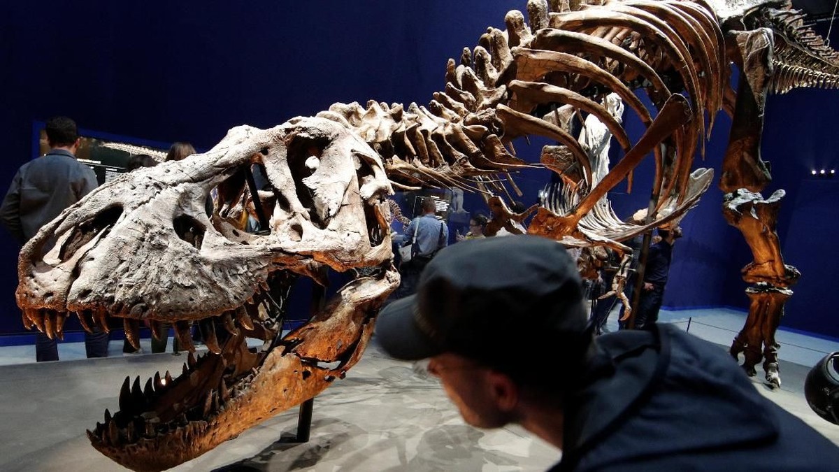 Ilmuwan Akhirnya Tahu Alasan T-Rex Tangannya Kecil Walau Kepala Besar