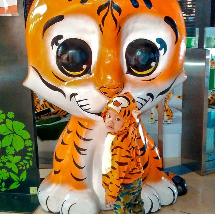 <p>Budi menggemaskan banget deh pakai kostum macan. He-he. (Foto: Instagram/dilahadju26)  </p>