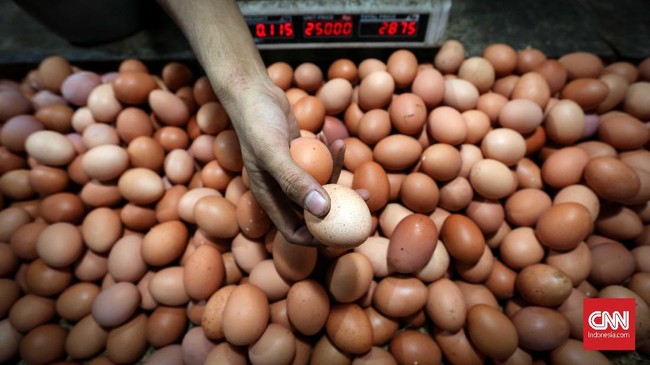 Pemerintah menambahkan item telur dan daging ayam dalam paket bansos pangan yang digulirkan selama September hingga November mendatang.