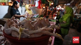 Rata-rata Harga Bahan Pokok Turun Awal Pekan Ini