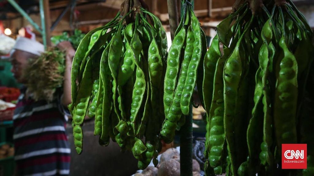 Benarkah Makan Petai Bikin Ginjal Rusak?