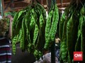 5 Manfaat Kulit Petai, Salah Satunya Obati Asam Urat