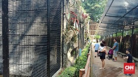 Pengunjung Kebun Binatang Bandung Meningkat Meski Pandemi