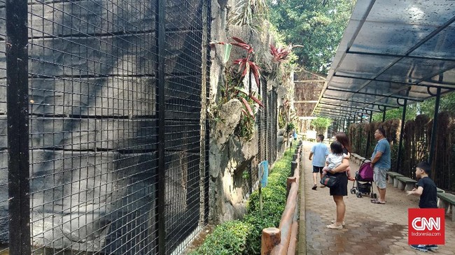 Kebun binatang Bandung didatangi lebih dari seribu pengunjung dalam sehari saat libur panjang.