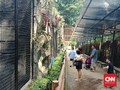 Pengunjung Kebun Binatang Bandung Meningkat Meski Pandemi
