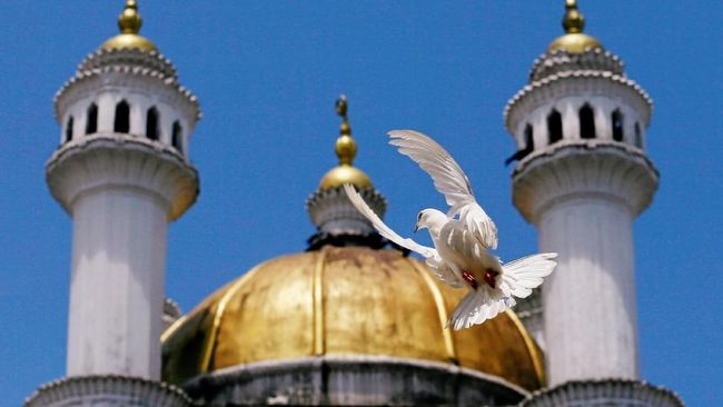 Tolak Izin Pembangunan Masjid, Walikota Prancis Didenda
