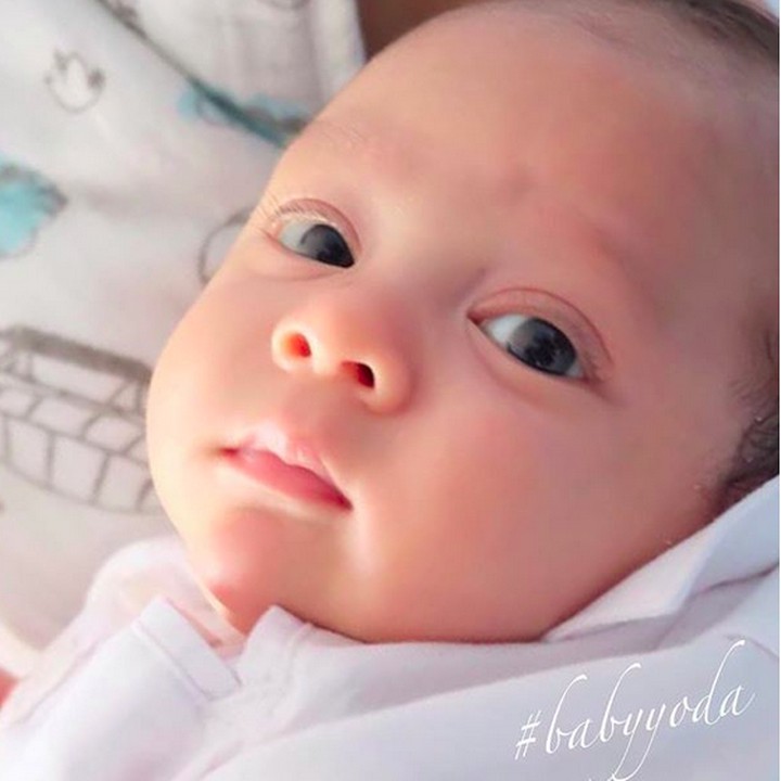 <p>Lihat mata belo dan pipi chubby-nya Baby Yoda, dijamin bikin kita ingin nguyel-nguyel deh. He-he-he. (Foto: Instagram/ @reisabrotoasmoro)  </p>