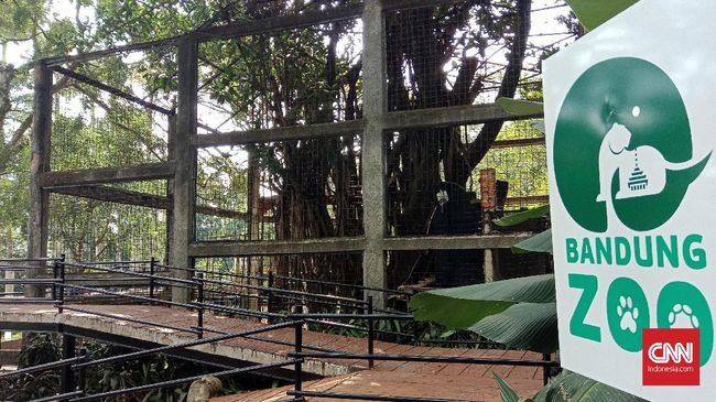 Bandung Zoo larang botram saat Lebaran 2025. Pengunjung dilarang bawa makanan dari luar, termasuk tikar ke Bandung Zoo.