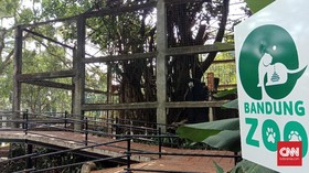 7 Tempat Wisata Bandung yang Tidak Macet, Nggak Bikin Lelah di Jalan