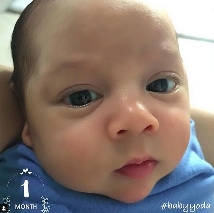 <p>Throwback saat Baby Yoda berumur 1 bulan. Nggemesin banget. (Foto: Instagram/ @reisabrotoasmoro)  </p>