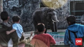 FOTO: Lebaran, Kala Ragunan Diserbu Wisatawan
