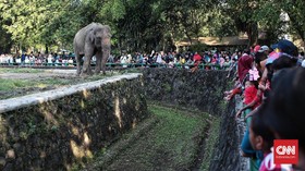 Ragunan Bantah Hoax Tiket Gratis selama Libur Lebaran