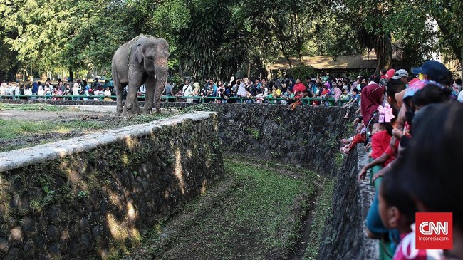 Pengelola Taman Margasatwa Ragunan membantah informasi palsu (hoax) yang menyebut tempat rekreasi itu menggratiskan tiket masuk selama 20-24 Juni 2018.
