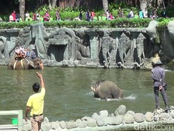 10 Wisata Edukasi di Bali yang Menyenangkan