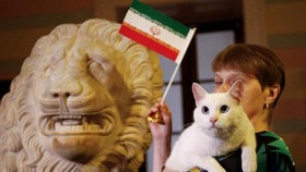 Kucing Ajaib Prediksi Laga Rusia vs Mesir di Piala Dunia
