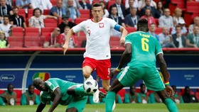 Jadwal Siaran Langsung Polandia vs Kolombia di Piala Dunia