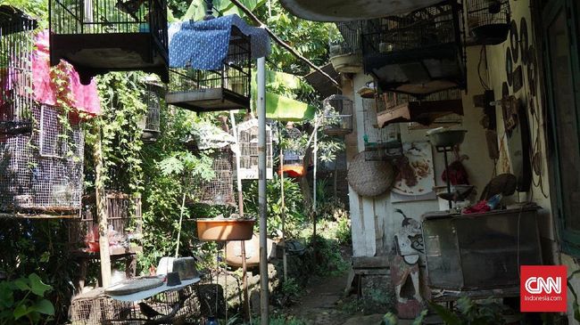 Di balik gedung bertingkat, mal, apartemen dan restoran serta kafe mewah di Kemang, Jakarta Selatan, ada kampung asli Betawi yang masih bertahan.