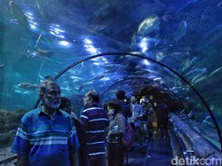 Tren Aquarium Date, Mau Coba?