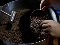 Dicari! Biji Kopi Terbaik di Jabar untuk Ajang World of Coffee Italia