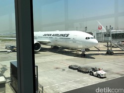 Maskapai Jepang Akan Bebaskan Penumpang Memakai Masker atau Tidak