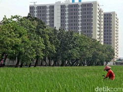 Ragam Upaya Pemprov DKI Jakarta Jaga Ketahanan Pangan dan Inflasi