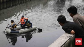 Sempat Tertangkap, Buaya di Kali Grogol Kembali Lepas