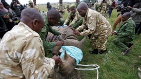 FOTO: Menyelamatkan Badak Hitam Kenya