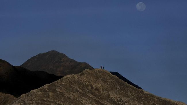 Tidak ada satwa endemik atau wisatawan Gunung Bromo yang menjadi korban jiwa dalam musibah kebakaran ini.