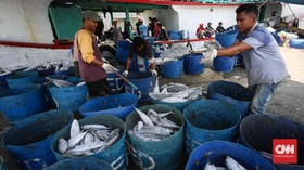 Kadin Keluhkan Proses Perizinan Perikanan Lamban