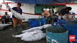 Aktivis Sebut Revisi UU Minerba Ancam Budidaya Perikanan