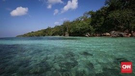 img-title Warga Selayar Sulsel Terkejut Laut Berubah Hijau dan Bau Menyengat
