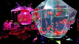 FOTO: Ikan Menari di Art Aquarium Jepang