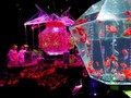 FOTO: Ikan Menari di Art Aquarium Jepang
